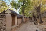 طبیعت پاییزی شهمیرزاد‎