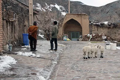 بارش برف در ارتفاعات بیرجند