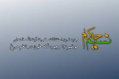 فیلم | وجود لکه خون در تخم مرغ