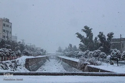 برف در خیابان‌های بیرجند