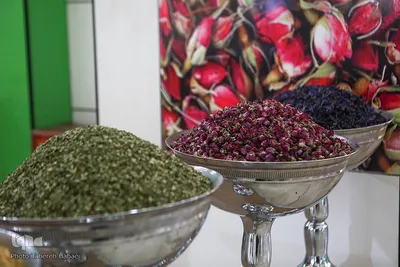 ششمین جشنواره و نمایشگاه ملی گیاهان دارویی و فرآورده‌های طبیعی طب سنتی ایران