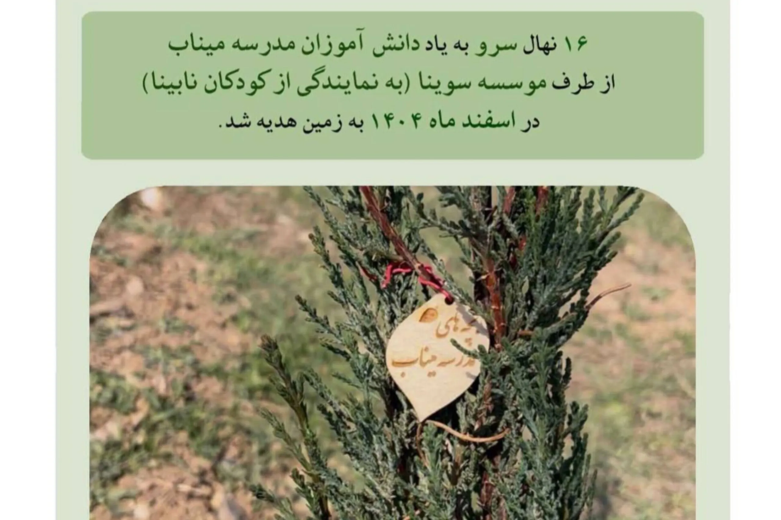 کاشت درخت به یاد بچه‌های مدرسه شهر میناب توسط سوینا