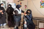 واکسیناسیون عشایر آذربایجان شرقی
