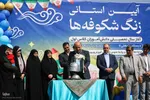جشن شکوفه‌ها در اصفهان