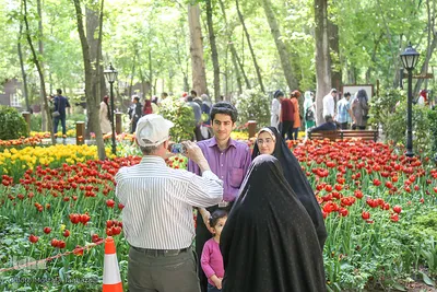 رویش در باغ ایرانی