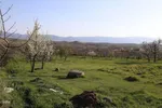 طبیعت بهاری شهرستان اهر
