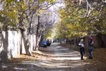 طبیعت پاییزی شهمیرزاد‎