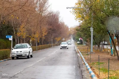 آخرین روز‌های پاییز در دانشگاه اصفهان