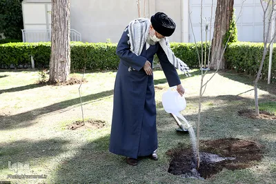 کاشت نهال توسط رهبر انقلاب