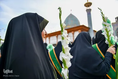 حال و هوای حرم شاهچراغ در شب شب میلاد امام رضا(ع)