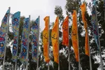 آذین بندی نیمه شعبان‎‎