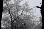 برف، رحمت الهی در سمنان