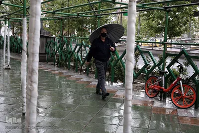 باران بهاری در تهران
