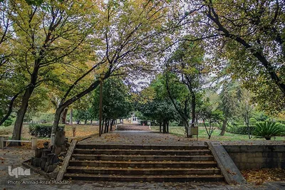 جلوه گری پاییز در باغ ارم شیراز