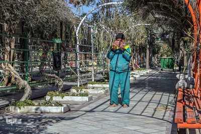 همایش «دیدار با پدران آسمانی» در شیراز‎‎