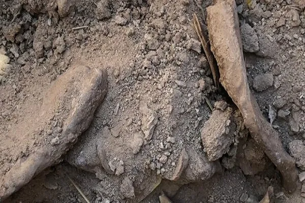 کشف گور دسته‌جمعی در «الانبار» عراق