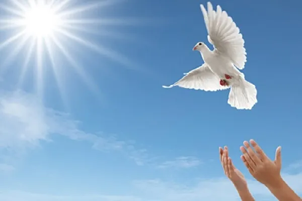 بازگشت دو محکوم به قصاص به زندگی با گذشت اولیای دم