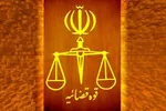 ادعای معاندین در مورد ارتکاب جنایت علیه یک نیروی حافظ امنیت صحت ندارد