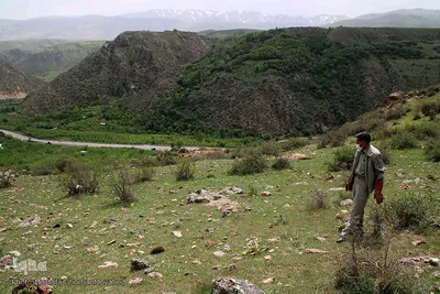 رهاسازی دو گونه ارزشمند و نادر حیات وحش منطقه ارسباران در ارتفاعات شهرستان اهر