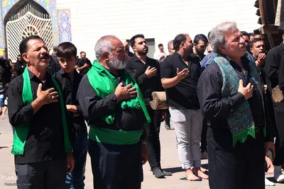 مراسم نخل‌برداری به مناسبت شهادت امام رضا(ع) در یزد‎