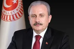 Parlamentspräsident der Türkei: Attentat auf iranischen Atomwissenschaftler ist Terrorakt
