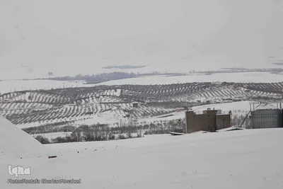 بهار 1401 با طعم برف و سرما در اهر