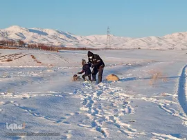 طبیعت زمستانی و روزهای سرد شهرستان اهر