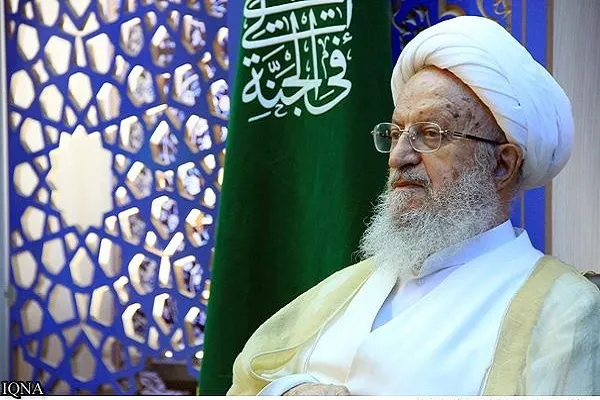 حمایت آیت‌الله مکارم شیرازی از اقدام پلیس در طرح نور