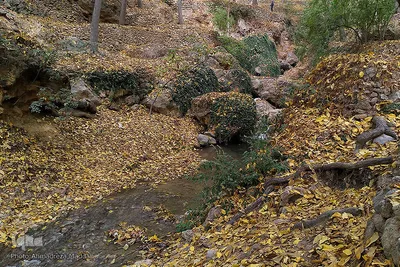 طبیعت پائیزی روستای گردشگری «دشتک» استان فارس‎‎
