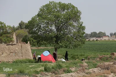 روز طبیعت با چاشنی کرونا