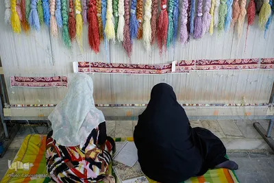 سیده ناهید حسینی کارآفرین