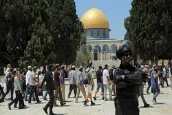 Beamter: in diesem Jahr Al-Aqsa von mehr Siedlern als in den vorherigen Jahren gestürmt