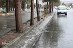 بارش باران در بیرجند