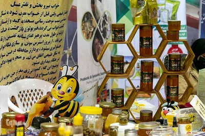 نمایشگاه هفته پژوهش استان البرز‎‎