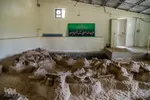 مراغه بهشت پستانداران ماقبل تاریخ‎‎
