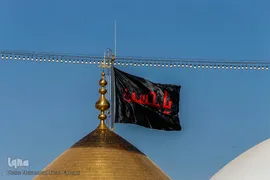 زیارت اربعین اباعبدالله الحسین (ع) کربلای معلی