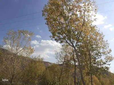 طبیعت بکر و پاییزی روستای انجرد شهرستان اهر