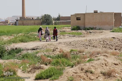 روز طبیعت با چاشنی کرونا