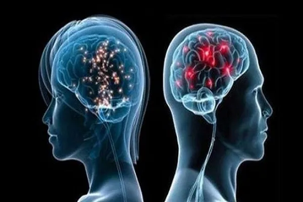 چرا برخی زنان به بروز رفتارهای مردانه گرایش دارند؟ / جای خالی مجتهد تربیتی