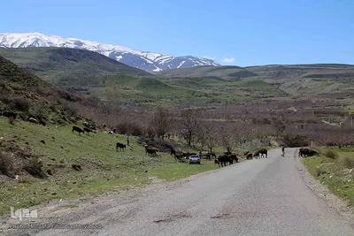 گشت و گذار کرونایی در مناطق گردشگری اهر