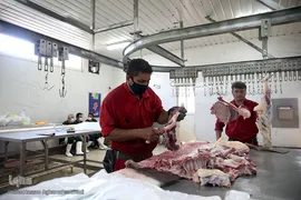 بازار عرضه دام سبک «آزادگان» شهرداری تهران در عید سعید قربان