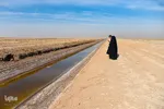 اردوی جهاد تبیین سازمان محیط زیست استان البرز‎