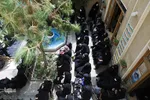 ویژه‌برنامه «بهشت اطلسی‌ها» در اصفهان‎‎