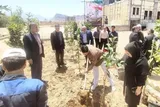 فیلم | غرس نهال امید در دانشگاه علم و هنر یزد