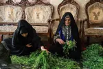 یا علی گفتیم و عشق آغاز شد