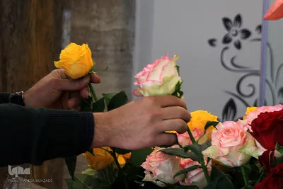 به بهانه روز مادر/عکاس: پریسا بهزادی