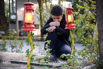 گلزار شهدای تهران، در روز شهادت امام رئوف