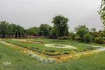 اردیبهشت باغ گل های شیراز‎‎