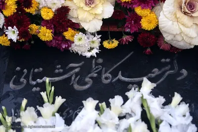 ادای احترام جهادگران به مقام دکتر کاظمی آشتیانی