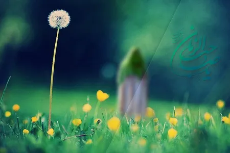کامل شدن دین در گرو شناخت ولی‌عصر(عج) است